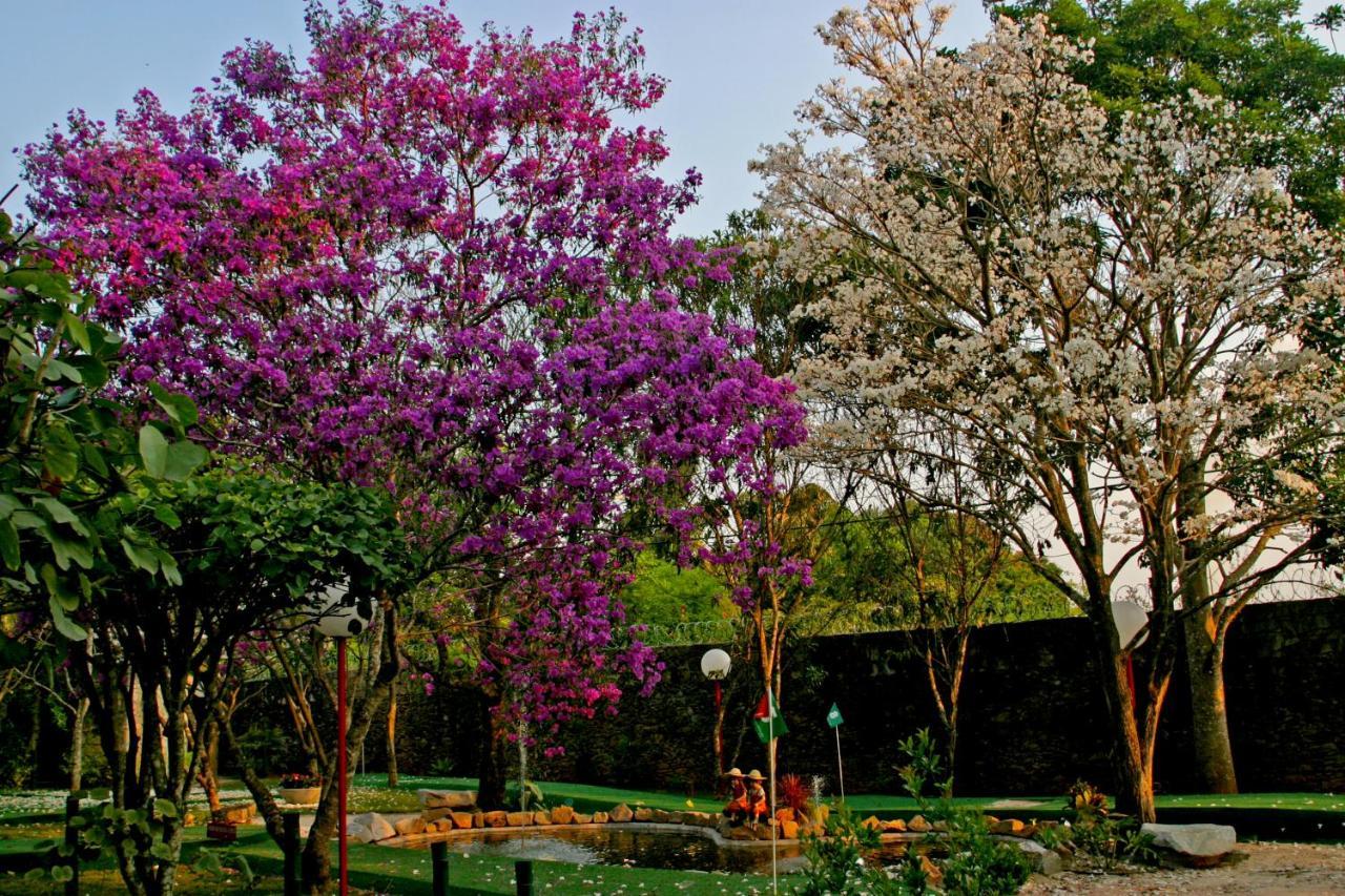 Villa Buonabitacolo São João del Rei Esterno foto