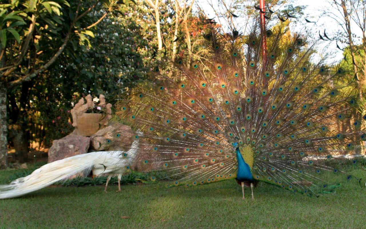 Villa Buonabitacolo São João del Rei Esterno foto